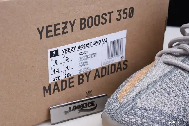 350 Yeezy FZ5421 V2 Adidas Boost Israfil 0604